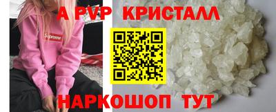 дмт Кингисепп