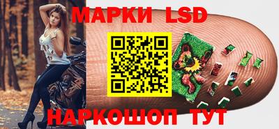 дмт Кингисепп