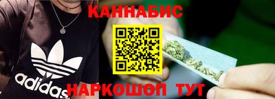 дмт Кингисепп