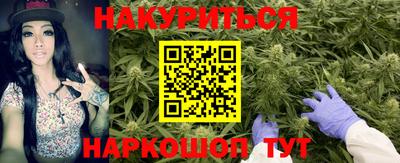 дмт Кингисепп