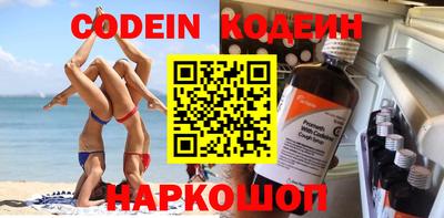 дмт Кингисепп