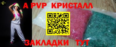 дмт Кингисепп