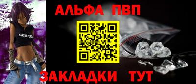 дмт Кингисепп