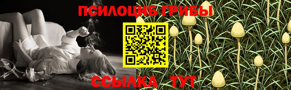 Кудымкар  Псилоцибиновые грибы Psilocybine cubensis  Псилоцибиновые грибы MAGIC MUSHROOMS  Вход с VPN 