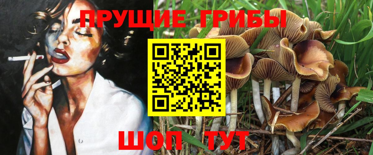 Псилоцибиновые грибы ЛСД Кудымкар